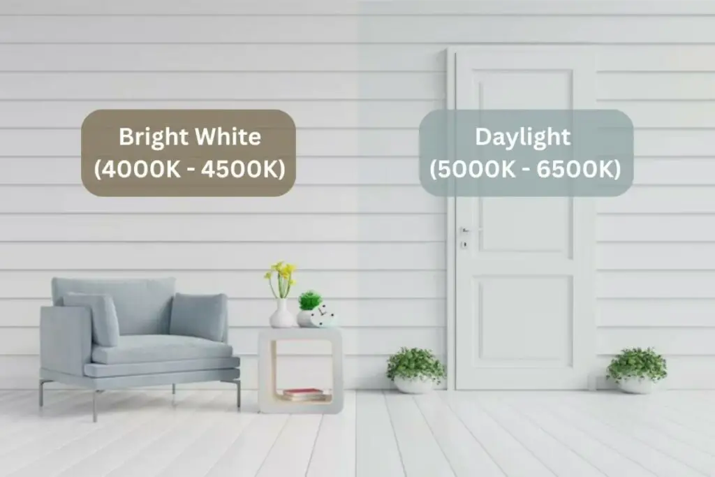 Bright White or Daylight For Outside