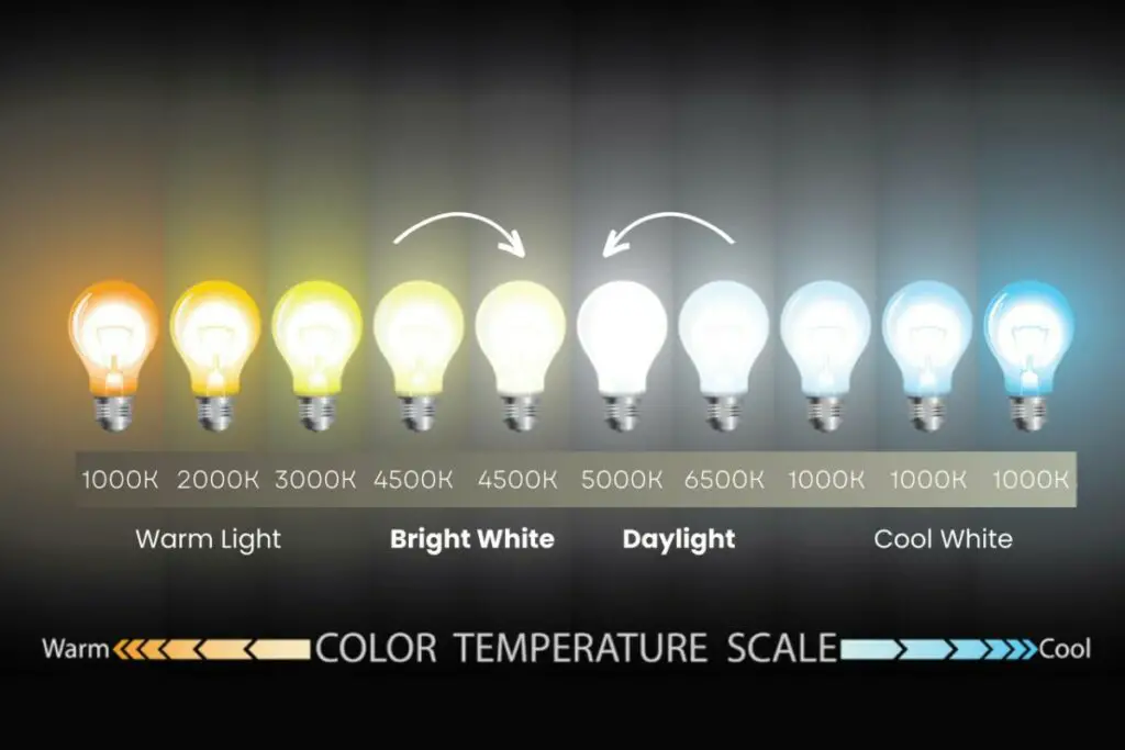 Bright White vs. Daylight Light Colo Temperature