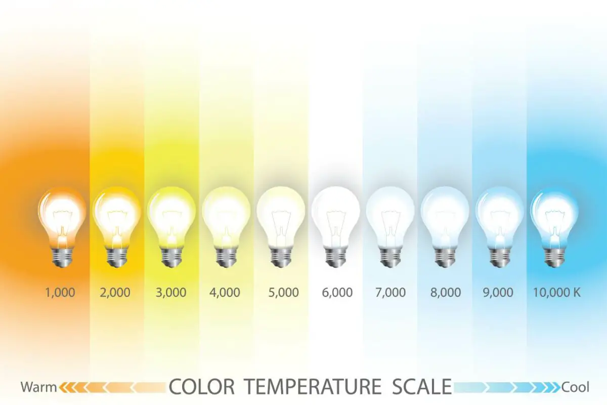 LED Light Colors: Meanings And Uses For Different Moods And
